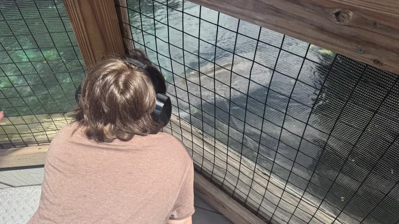 autistic child looking at a manatee at a zoo